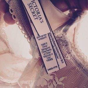34DD Victoria's Secret Pink Velvet Bra